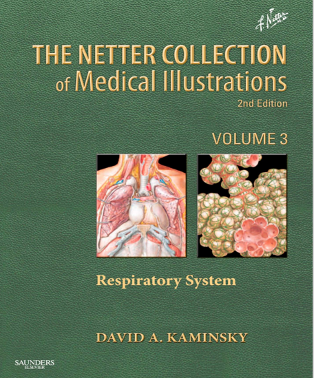 The Netter Collection of Medical Illustrations: Respiratory System