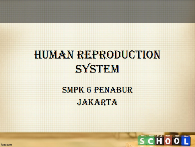 HUMAN REPRODUCTION SYSTEM