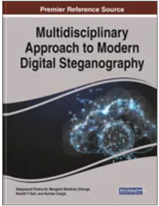 Multidisciplinary Approach to Modern Digital Steganography