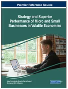 Strategy and Superior Performance of Micro and Small Businesses in Volatile Economies