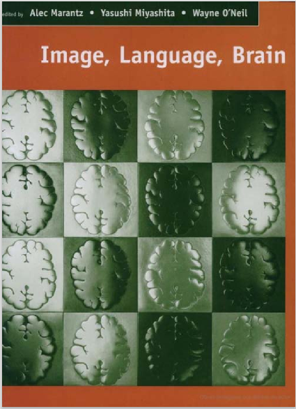 Image, Language, Brain