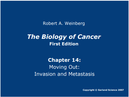 The Biology of Cancer