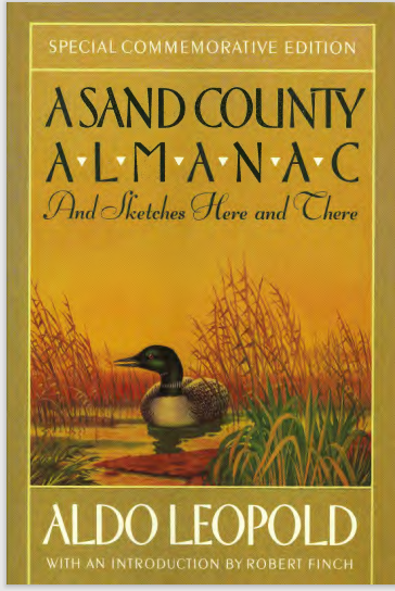 fl Sand C9ounty Almanac  AND  SKETCHES HERE AND THERE 