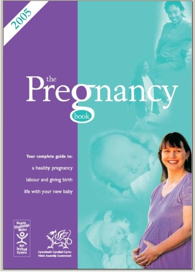 The Pregnancy Book (2005, UK Department of Health)