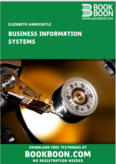 BUSINESS INFORMATION SYSTEM
