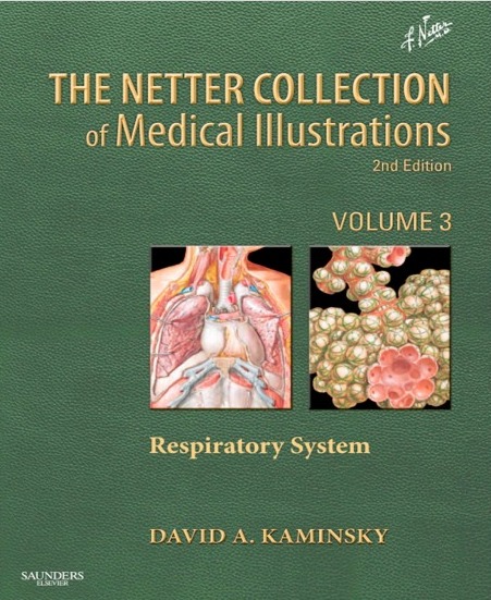 The Netter Collection OF MEDICAL ILLUSTRATIONS: Respiratory System