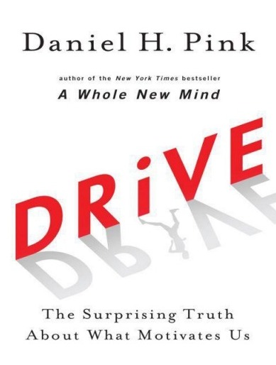 Drive : the surprising truth about what motivates us 